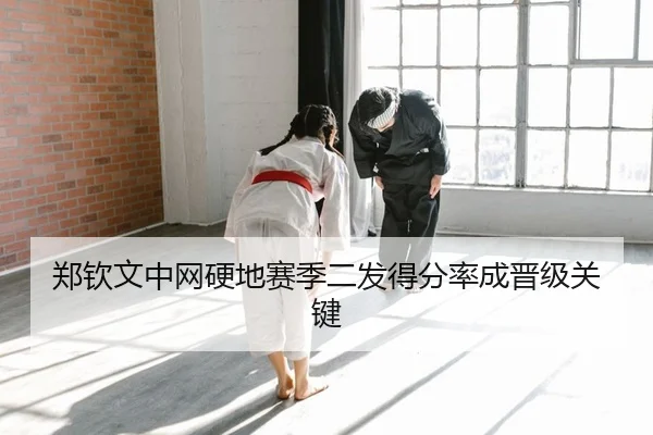zheng-qin-wen-zhong-wang-ying-di-sai-ji-er-fa-de-fen-lv-cheng-jin-ji-guan-jian-2-431.jpg